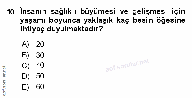 Soru 10