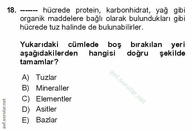 Soru 18