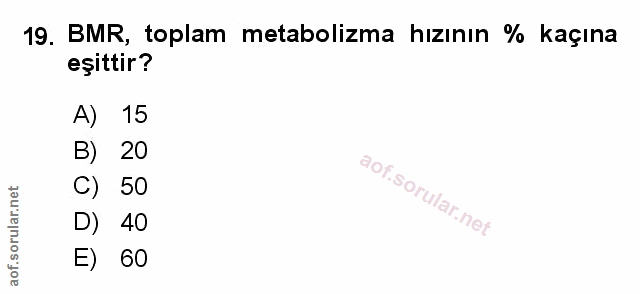 Soru 19