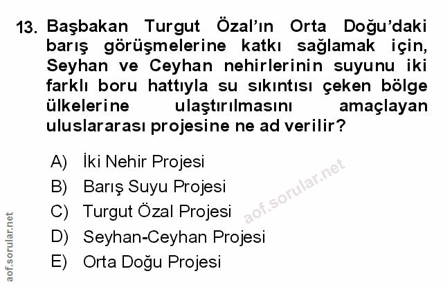 Soru 13