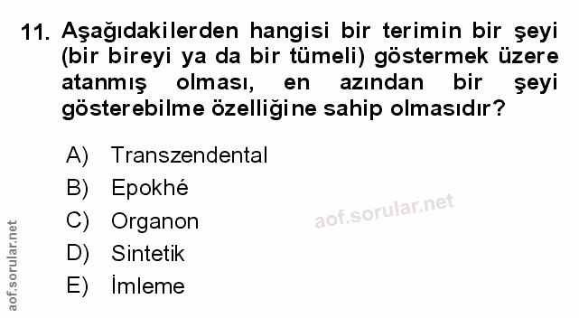 Soru 11