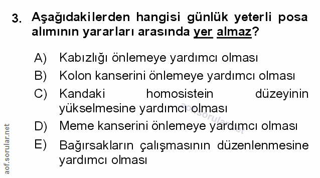 Soru 3