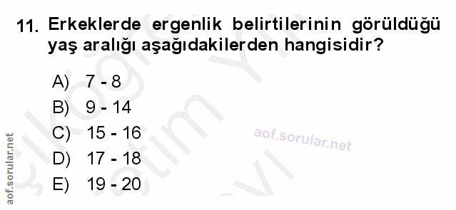 Soru 11
