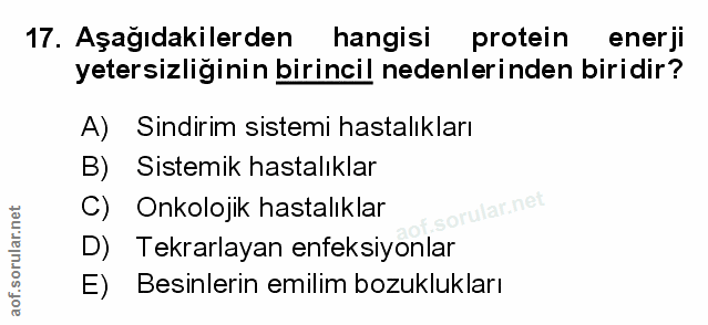 Soru 17
