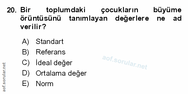 Soru 20