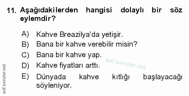 Soru 11