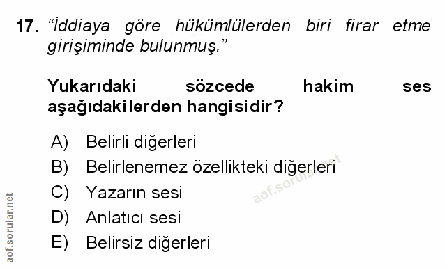 Soru 17