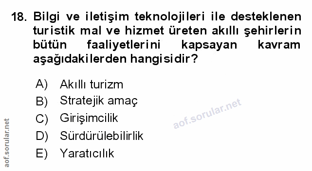 Soru 18