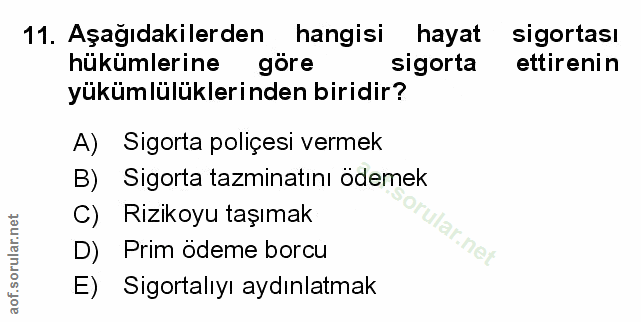 Soru 11
