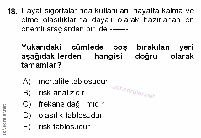 Soru 18