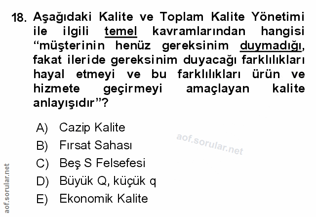 Soru 18