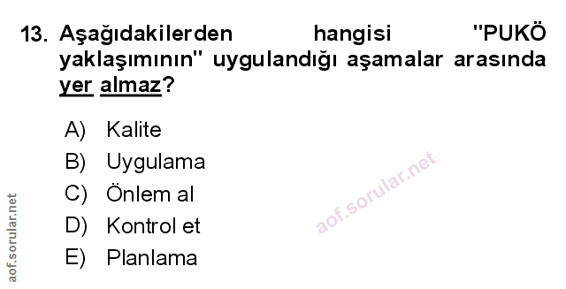 Soru 13