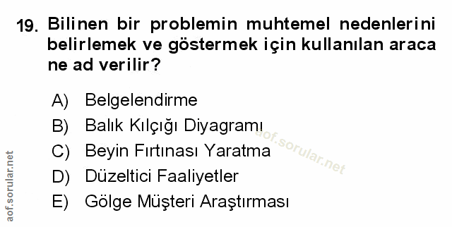 Soru 19