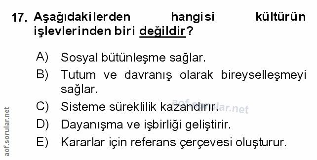 Soru 17
