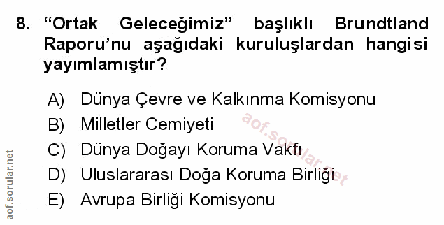 Soru 8
