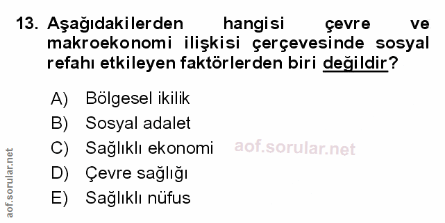 Soru 13