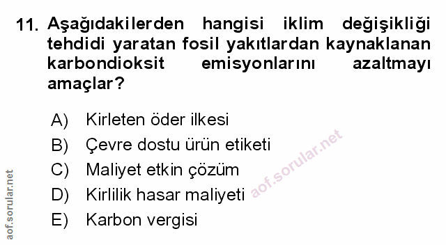 Soru 11