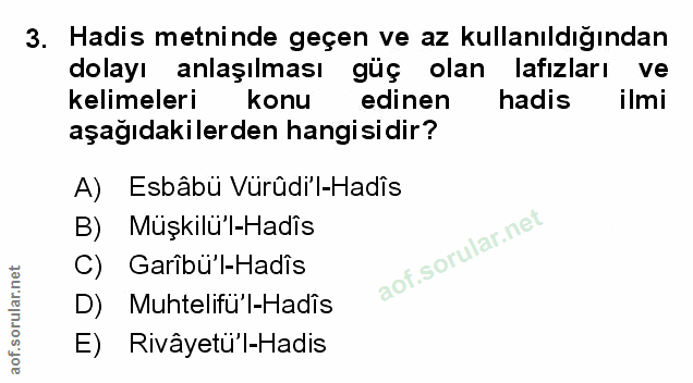 Soru 3