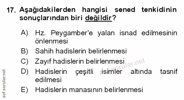 Soru 17
