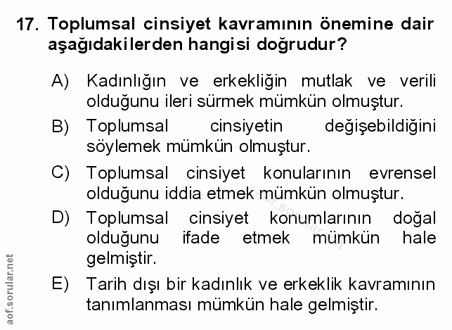 Soru 17