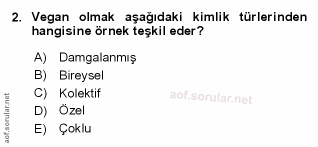 Soru 2