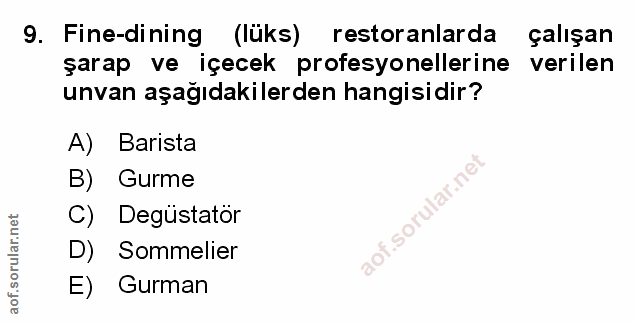 Soru 9
