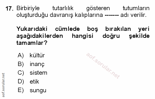 Soru 17
