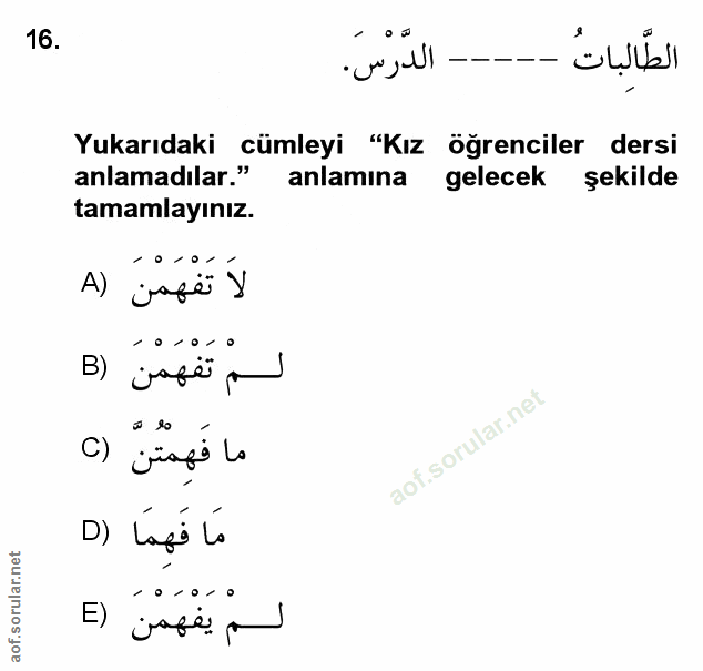 Soru 16