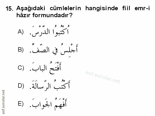 Soru 15