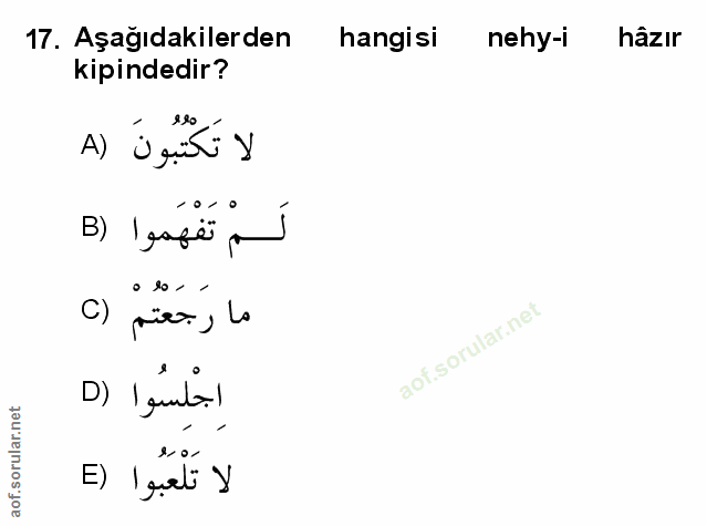 Soru 17