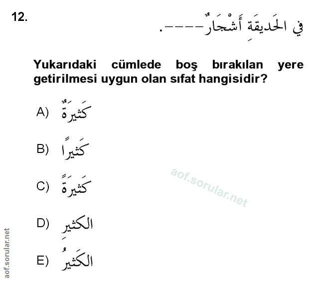 Soru 12