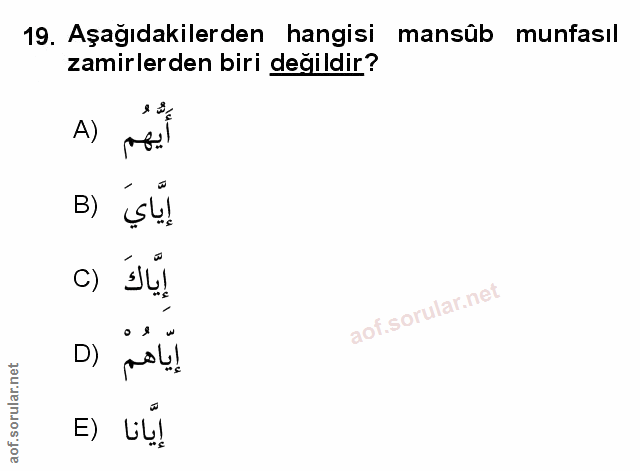 Soru 19