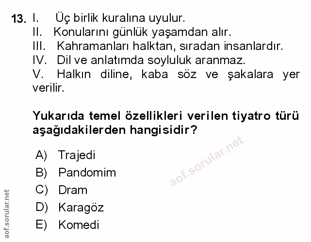 Soru 13