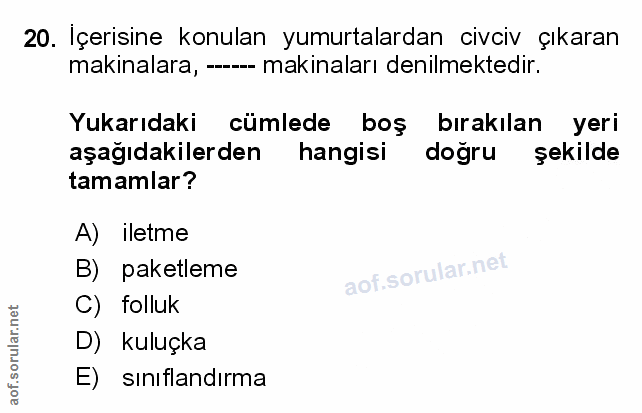 Soru 20