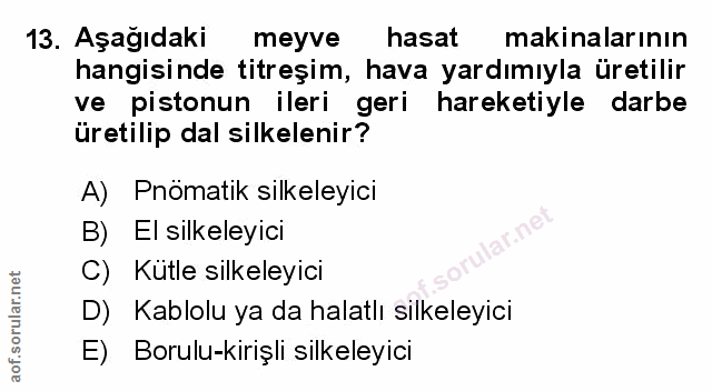 Soru 13