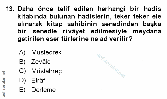 Soru 13