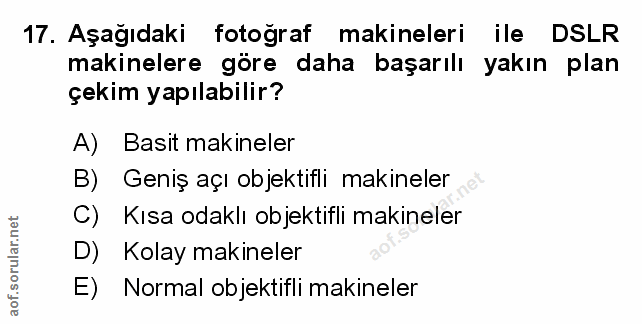 Soru 17