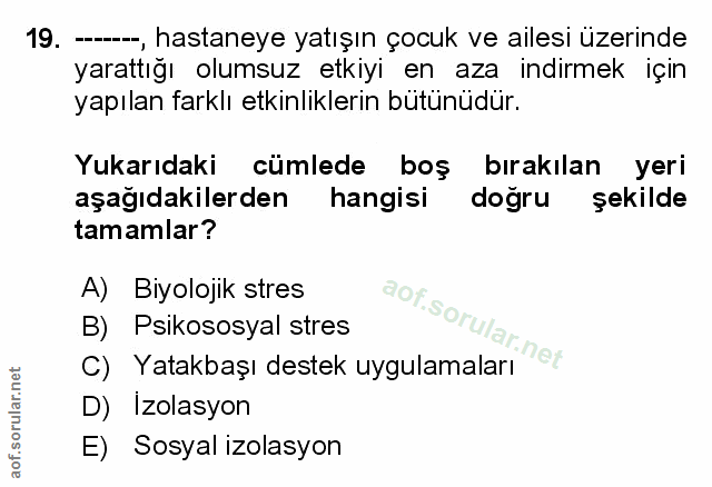 Soru 19