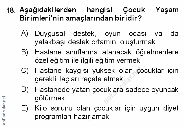 Soru 18