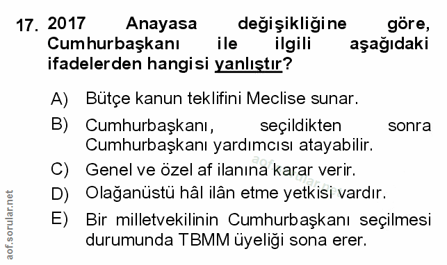 Soru 17