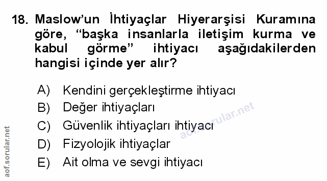 Soru 18