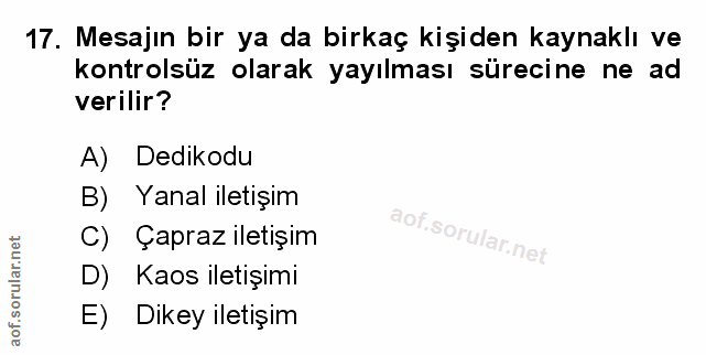 Soru 17