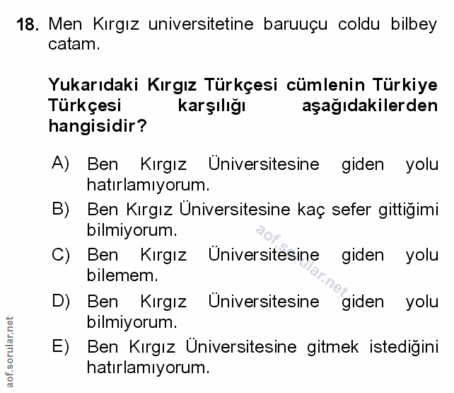 Soru 18