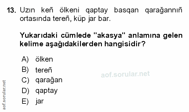 Soru 13