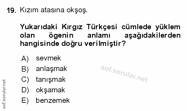 Soru 19