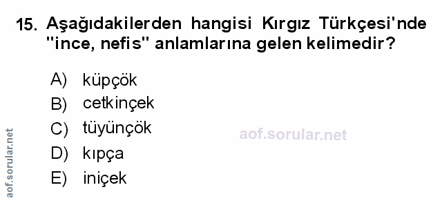 Soru 15