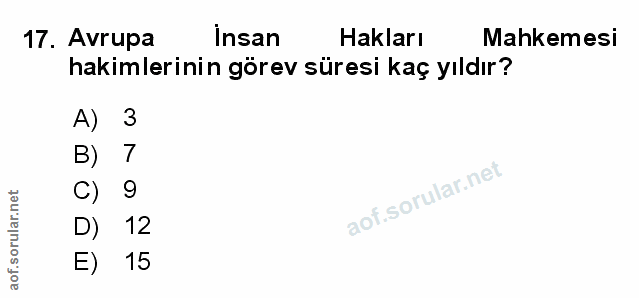 Soru 17