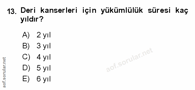 Soru 13