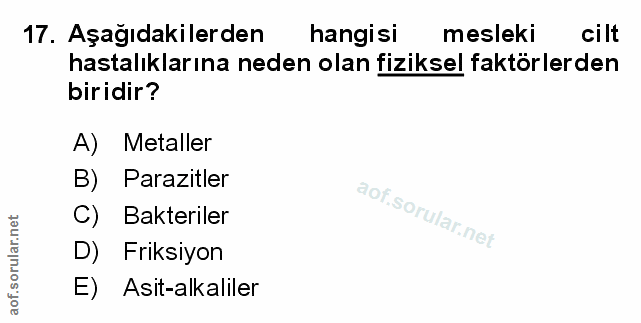 Soru 17