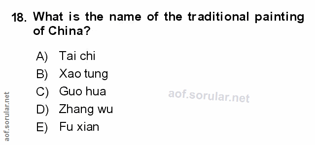 Soru 18